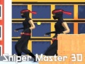 Oyunu Sniper Master 3D