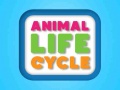 Oyunu Animal Life Cycle