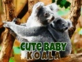 Oyunu Cute Baby Koala Bear