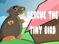 Oyunu Rescue The Tiny Bird