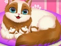 Oyunu Cute Kitty Pregnant