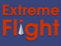 Oyunu Extreme Flight