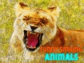 Oyunu Funny Smiling Animals