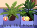 Oyunu Save the Plants