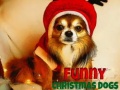 Oyunu Funny Christmas Dogs