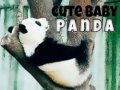 Oyunu Cute Baby Panda