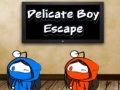 Oyunu Delicate Boy Escape