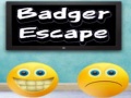 Oyunu Badger Escape