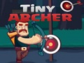 Oyunu Tiny Archer