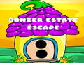 Oyunu Bonzer Estate Escape