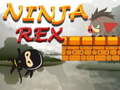 Oyunu Ninja Rex