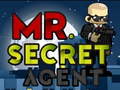 Oyunu Mr Secret Agent