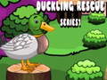 Oyunu Duckling Rescue Series1