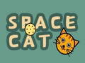 Oyunu Space Cat