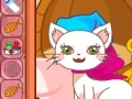 Oyunu Cathy The Pretty Cat