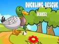 Oyunu Duckling Rescue Series2