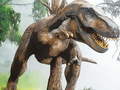 Oyunu Tyrannosaurus Rex Carnivore Jigsaw
