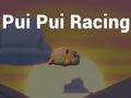 Oyunu Pui Pui Racing