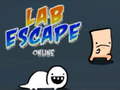 Oyunu Lab Escape Online