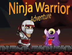 Ninja Savaşçı Macerası 