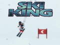Oyunu Ski King