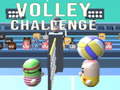 Oyunu Volley Challenge