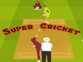 Oyunu Super Cricket 