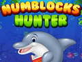 Oyunu Numblocks Hunter