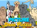 Oyunu Picture Drag Puzzle
