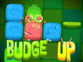 Oyunu Budge Up