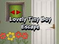 Oyunu Lovely Tiny Boy Escape