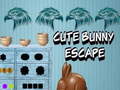 Oyunu Cute Bunny Escape