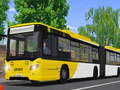 Oyunu Public Transport Simulator 2021