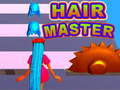 Oyunu Hair Master