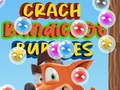 Oyunu Crash Bandicoot Bubbles 