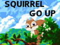 Oyunu Squirrel Go Up