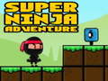 Oyunu Super Adventure Ninja