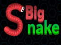 Oyunu Big Snake