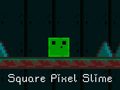 Oyunu Square Pixel Slime