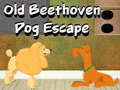 Oyunu Old Beethoven Dog Escape