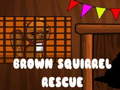 Oyunu Brown Squirrel Rescue