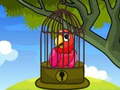 Oyunu Red Parrot Rescue