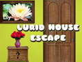 Oyunu Lurid House Escape