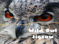 Oyunu Wild owl Jigsaw
