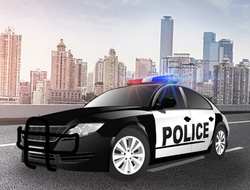 Polis Arabası Sürücüsü 