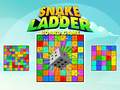 Oyunu Snake and Ladder Board Game