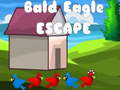 Oyunu Bald Eagle Escape
