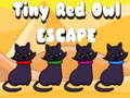 Oyunu Tiny Red Owl Escape