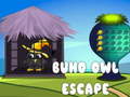 Oyunu Buho Owl Escape