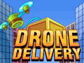 Oyunu Drone Delivery